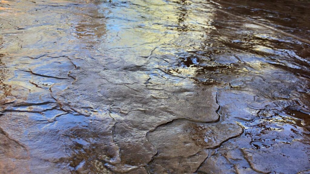 487346152_1117095630220404_6138734024823918831_n